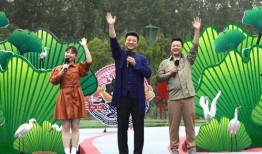 航空学院爆料新闻视频最新,最新爆料新闻视频深度解析